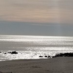 Meet your Posher, Everardo